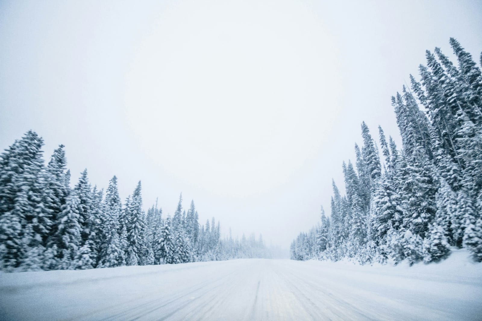 Route bordée de sapins enneigés en hiver au Québec